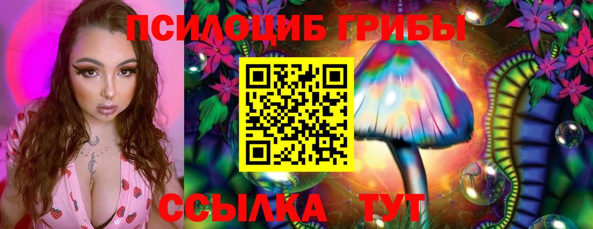 Псилоцибиновые грибы ЛСД  Вход с VPN  Майкоп 